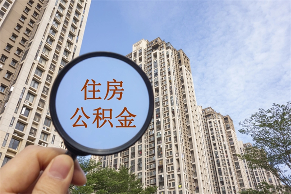 商丘公积金代办（商丘公积金代办费用是什么意思）